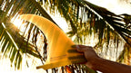 Quilla central de fibra de vidrio para longboard Deflow Dan Pascacio 10.5 Single Fin
